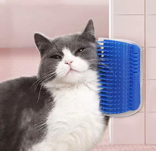 Spazzola Auto-Massaggiante