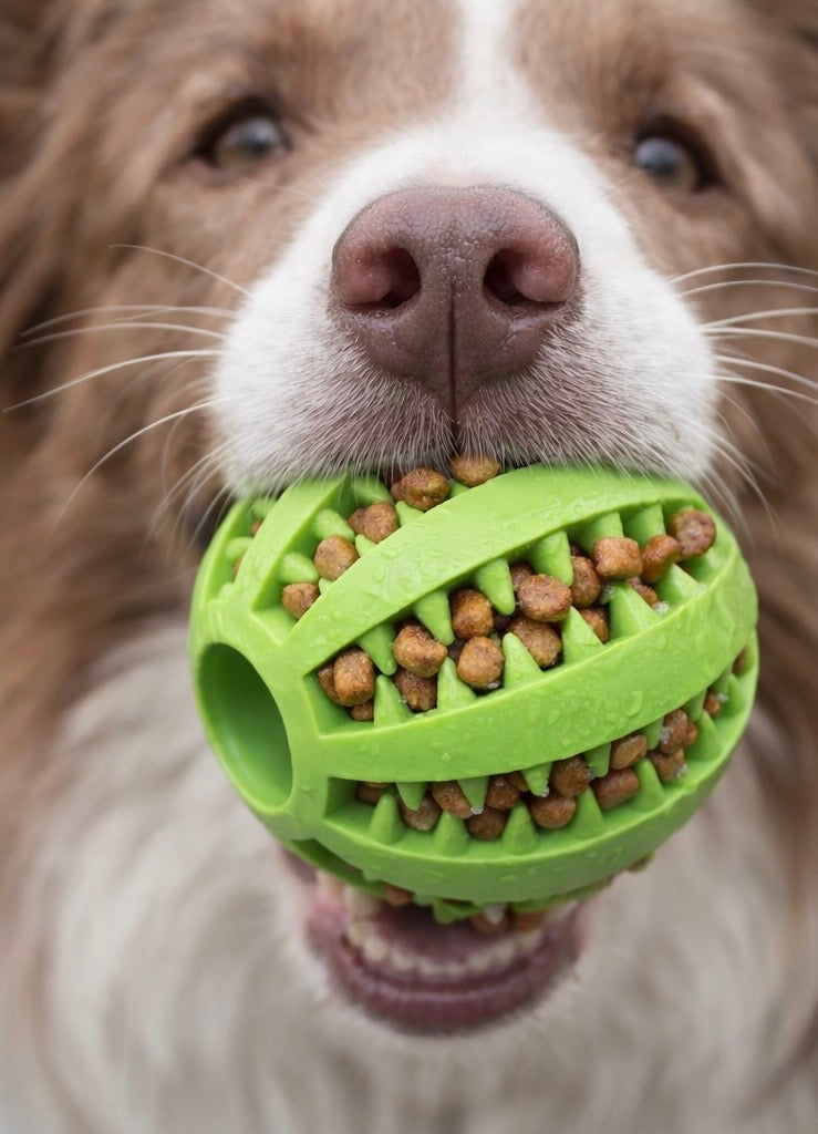 Palla Per Pulizia Denti