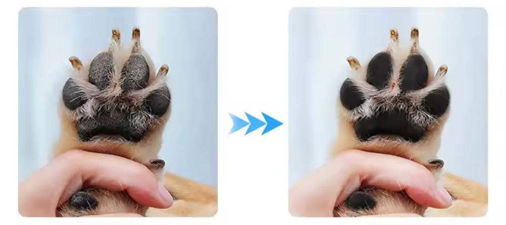 Pulisci Zampe Portatile