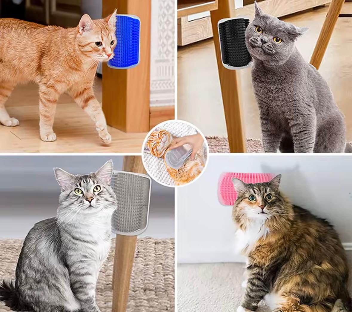 Spazzola Auto-Massaggiante