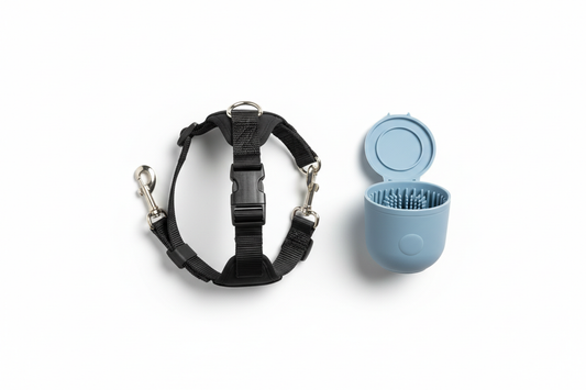 Kit Passeggiata Felice - Versione realistica